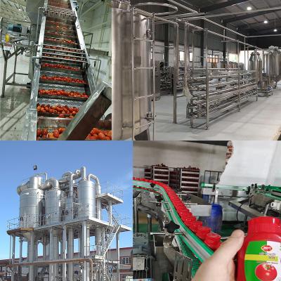 China Industrial Vegetable Juice Production Line SUS304 Special Machines For Vegetable Processing Plants for sale