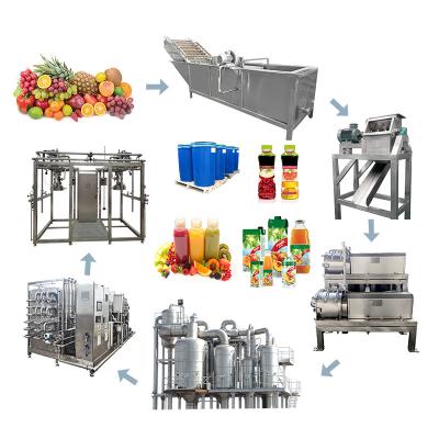 China 500 Tons Per Day Grape Juice And Jam Production Line SUS304 Special Equipment For Grape Processing Plants en venta