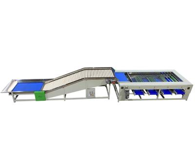 Chine Machine à trier les rouleaux en acier inoxydable avec fonction de tri automatique à vendre