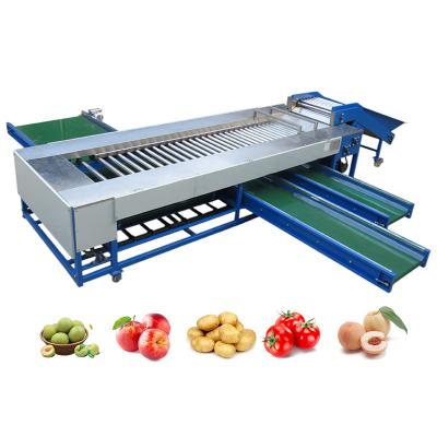 Chine SUS304 Machine de tri à rouleaux utilisée pour le tri et le tri des fruits et légumes ronds à vendre