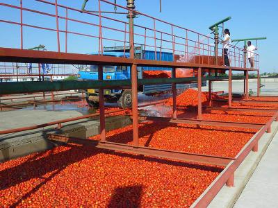 China Handels-Produktlinie der Tomaten-380V/Tomaten-Püree-Verarbeitungsanlage zu verkaufen