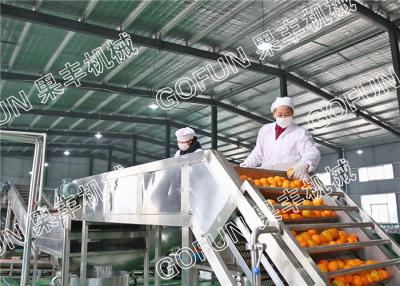 China Customized Berry Juice And Jam Production Line SUS304 Complete Berry Processing Line for sale