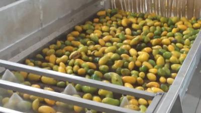 China Hohes effektives Mango-Verarbeitungsanlage-Hoch des kleinen Maßstabs, das Rate extrahiert zu verkaufen