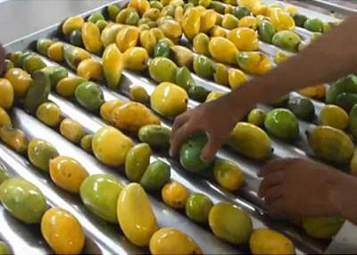 China Línea de transformación industrial del mango de 20 t/h certificado de llavero de la solución ISO9001 en venta