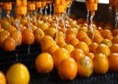 China Máquina de línea de procesamiento de jugo de naranja totalmente automática para plantas de procesamiento de cítricos en venta