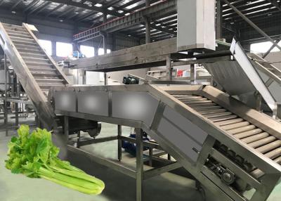 China Van de de Machine Hoge Capaciteit van grote Schaal het Plantaardige Juicer Voltage van de het Sapconcentratie 220V Te koop