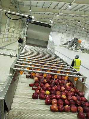 China CER industrielles automatisches Apple Juice Processing Machine 7.5kw SUS304 zu verkaufen