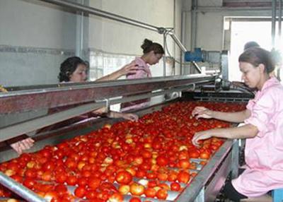 China Produktlinie-Tomatenkonzentrat der Tomaten-Sus304, das Maschine 3/5 Tonnen pro Stunde herstellt zu verkaufen