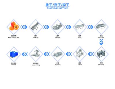 China Prune NFC Juice Production Line Prune Juice Processing Line SUS304 zu verkaufen