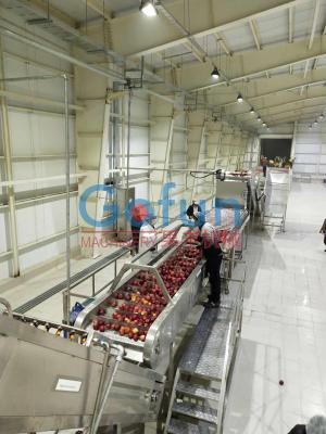 China 3T/H Apple-Verwerkingslijn voor Juice Complete Plant Preheating Te koop