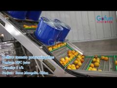 How are tomatoes processed into NFC juice? This 5TH yellow tomato processing line can tell you!