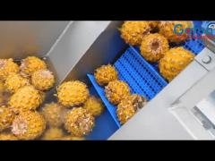 20T/H Concentrated Pineapple Fruit Juice Processing Line