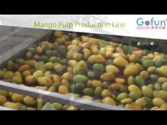 Mango puree production line complete set of machines for juice processing plants