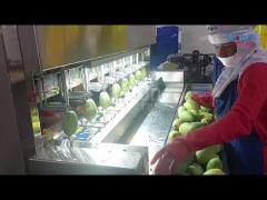 Intelligent Potato Peeling Machine For Fruits And Vegetables Processing Lines With 8 Sets Of Knives