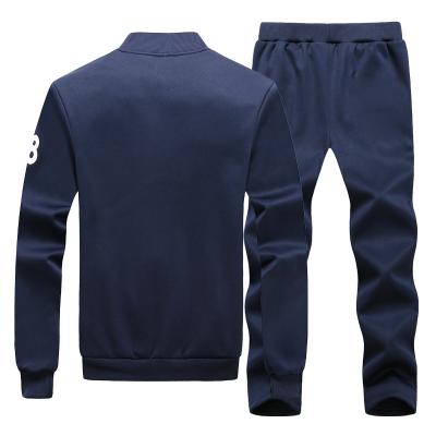 China Custom New Arrival Fitness Autumn Sport Wear Suit Antibacterial for sale