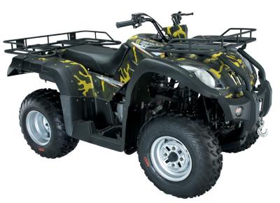 China 250cc ATV con pilas toda la nieve de control manual del vehículo 4x2 Off Road del terreno en venta