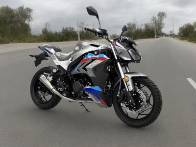 中国 ホットセール レーシングバイク 250cc 400cc ガソリンバイク ストリートバイク 250cc エンドゥロバイク 200cc 販売のため