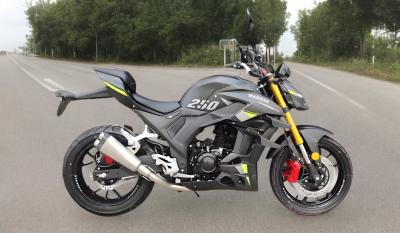 China Neueste Street Legal 250cc 400cc Benzin Straßen Motorräder für Erwachsene 250cc Enduro Motorräder Großrad Motorrad zu verkaufen