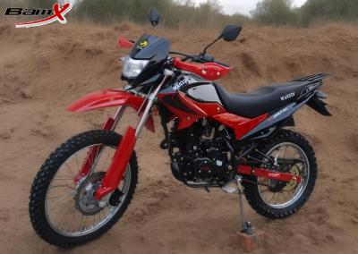 中国 着色されたプラスチックEnduroの二重スポーツ手のProtecter 2.5l 200cc 4の打撃の土のバイク 販売のため