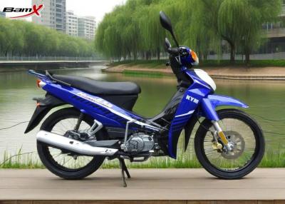 China C8 Hoge WELPmotorfiets - de dichtheidswijnoogst sprak Fiets van het Wiel110cc de Elektrische Vuil Te koop