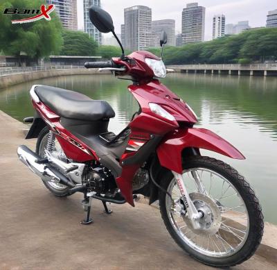 China 12v 5ah CUB Motorcycle Automatic Clutch 110cc Pit Dirt Bike Honda 125cc motorcycle for sale