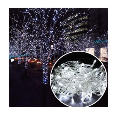 China PVC wire+LED New Year Factory Glitter Window Curtain 2022 LED Outdoor Smart Strip Light Flashing for sale