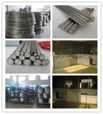 China Tipo revestido metal isolado do cabo J do MgO Inconel 600 da pureza alta mineral simples à venda