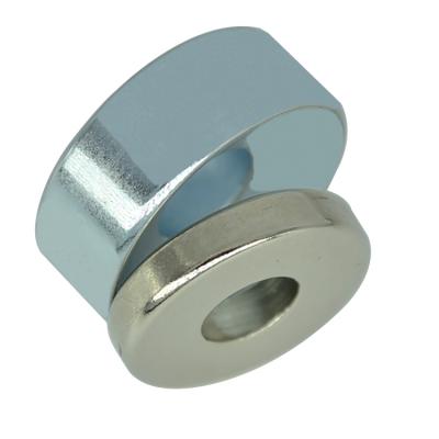 China Industrial Magnet N45 Multipole or 8 of 6 Ring Magnet Neodymium Multipole Magnet for sale