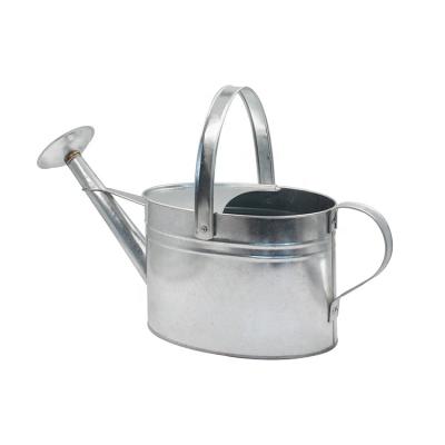 China Eco-friendly 1 Gallon Oval Galvanized Metal Watering Can For Home Garden Plants Flower for sale