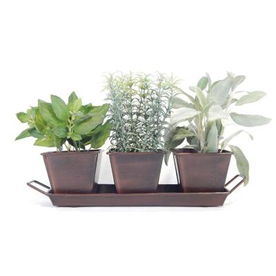 China Eco-Friendly Gardening Goods Copper Chocolate Color Garden Herb Pots And Tray Set for sale