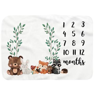 China PORTABLE Hot Sale Baby i@home Milestone Blanket Photography Fleece Baby Monthly Blanket for sale