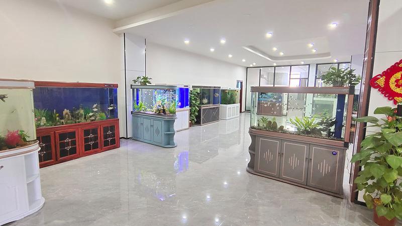 Verified China supplier - Foshan Haiqing Aquarium Supplies Co., Ltd.