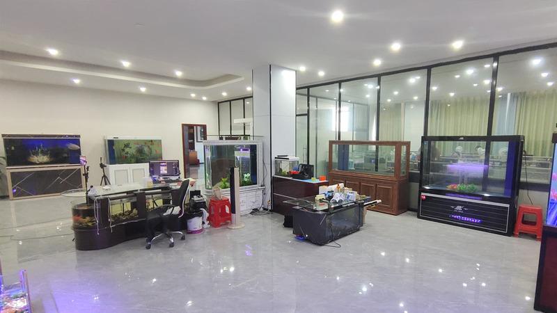 Verified China supplier - Foshan Haiqing Aquarium Supplies Co., Ltd.