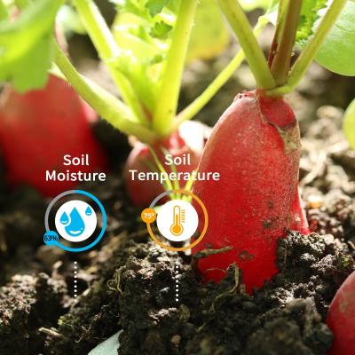 China Iot Smart Agriculture Temperature and Humidity Monitoring System Sensor Temperature and Humidity Solution to Cloud Management for sale