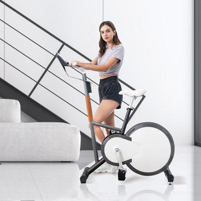 China Universal Smart Indoor Magnetic Exercise Bike Flywheel Bike Gym Equipment for sale