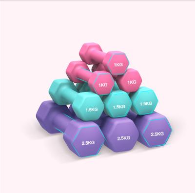 China Durable Wholesale Small Dumbbell Weight Set Fitness Hex Dumbbell for sale