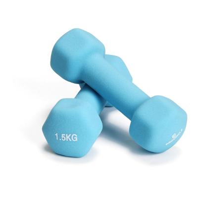 China China Factory Durable PVC Coated Vinyl Dumbbell Fitness Exercise Ladies Dumbbells for sale