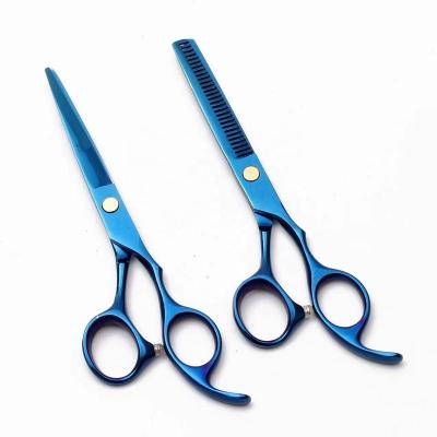 China 6 Inch Eco-Friendly And Promotional Japan Hair Salon Hair Dressing Scissors Premium Classic Steel Professional Cutting Scissors Barber Shears Scissor for sale