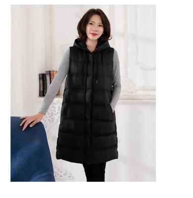 China Fashion Winter QUICK DRY High Quality Duck Down Jacket Women's Stripper Jacket Warm Long Down Duck Shawl for sale