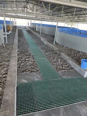 中国 Fish Farm FRP Grating Walkway or Platform Can Be Customized For Size And Color 販売のため