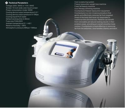 Chine Équipement de beauté de la cavitation rf de vide de Cryolipolysis, corps amincissant la machine à vendre