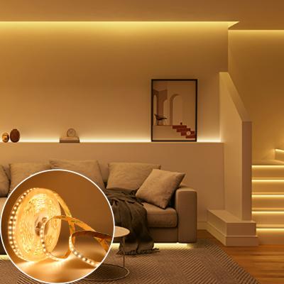 Cina 220V Alta luminosità e luminosità stabile lampada a strisce 3000K 4000K 6500K SMD 2835 LED Strip Light per cucina in vendita