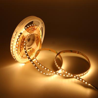 Cina Vendita a caldo 12V lampada a striscia Full Spectrum 120 LED 2700k 2835 LED Strip Light per la casa in vendita