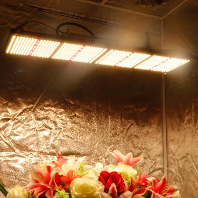 China Top 10 SMILE 2024 Hydroponic Grow Light Led, Shenzhen Led-verlichting Aeroponic Growing Systems Cxb 3590 Te koop