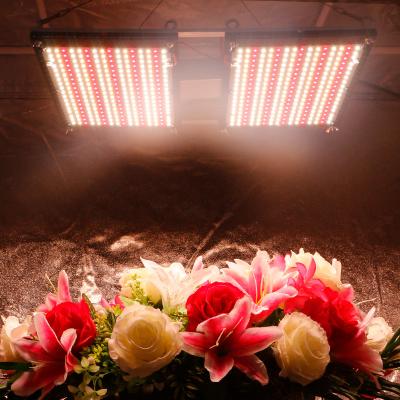 Cina 2024 Spettro completo sf 4000 LM301B LM301H 660nm UV IR Scheda fai da te LED Grow Light Kit in vendita