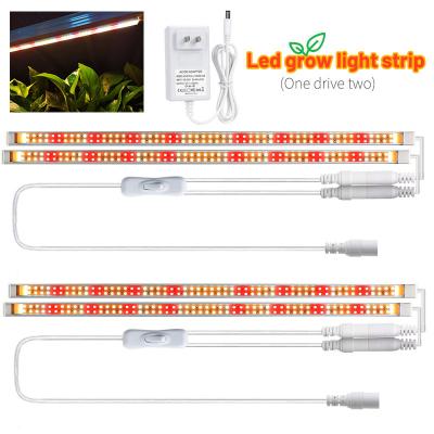 China Nueva luz solar LED de espectro completo de doble luz de planta de cultivo de luz de rayas luz para plantas de interior en venta