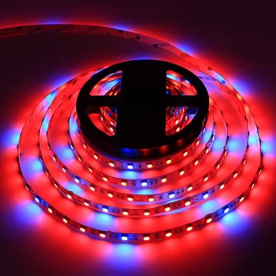 Κίνα SMD5050 LED Grow Strip Light 60led/m Κόκκινο και μπλε 4:1 και 5:1 Πλήρες φάσμα φυτών Φως ανάπτυξης για εσωτερικά υδροπονικά φυτά προς πώληση