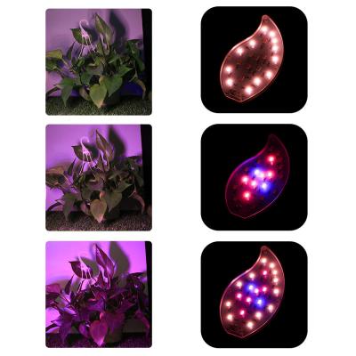 China DC 5V boombladeren USB waterdicht LED-groeilamp met timer voor groenten bloemen en binnenpotplanten Te koop