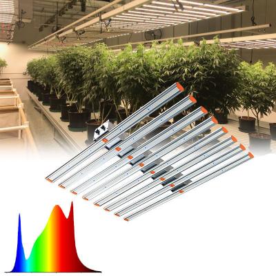 China Nuevo mayorista de alta eficiencia lm301b 1000w resistente al agua luces de cultivo led en venta