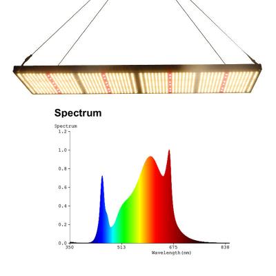 China Novedades SMILE topverkopers Hydroponics groei led volledig spectrum, Aeroponic Grow Systems led licht bloempot Te koop